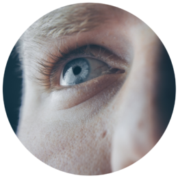 oeil2