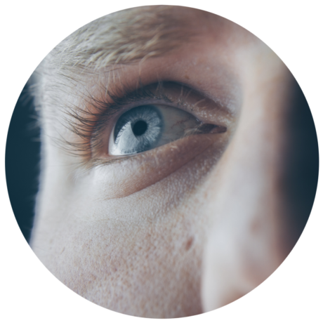 oeil2