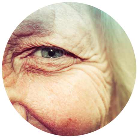 oeil3