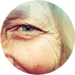 oeil3